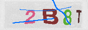 Immagine CAPTCHA