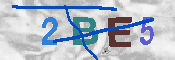 Immagine CAPTCHA