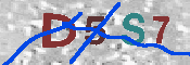 Immagine CAPTCHA